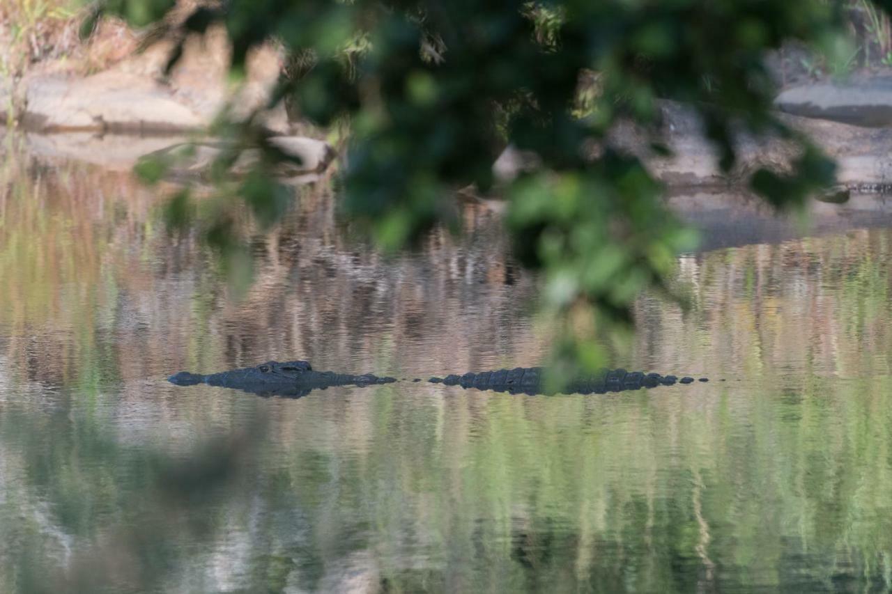 Willa Rukiya Safari Camp Hoedspruit Zewnętrze zdjęcie