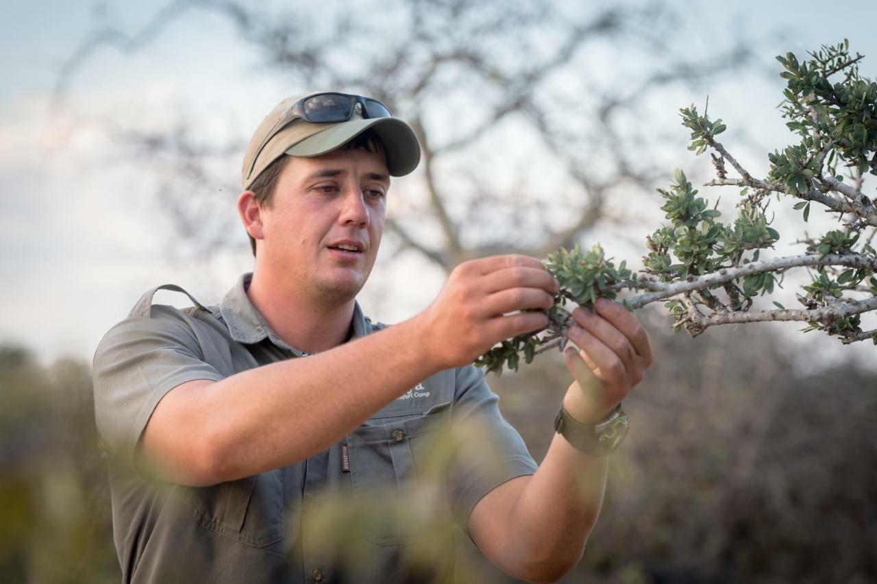 Willa Rukiya Safari Camp Hoedspruit Zewnętrze zdjęcie